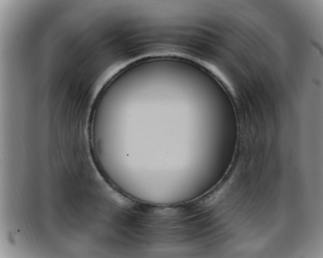 X0000096730943200802051125