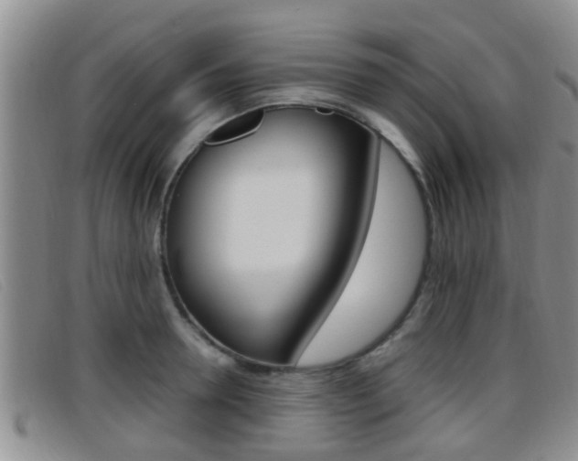 X0000096730946200802051125