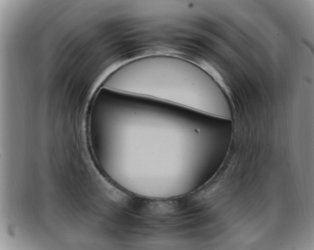 X0000096730947200802051125