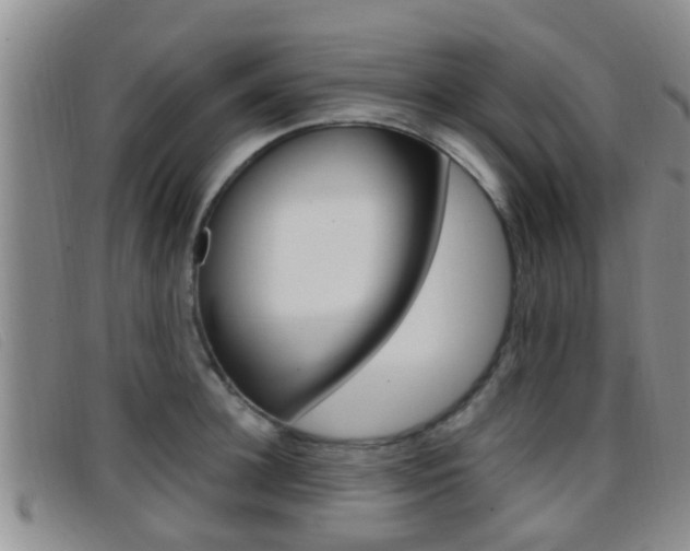 X0000096730948200802051125