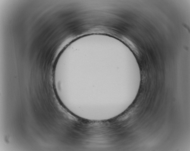 X0000096730950200802051126