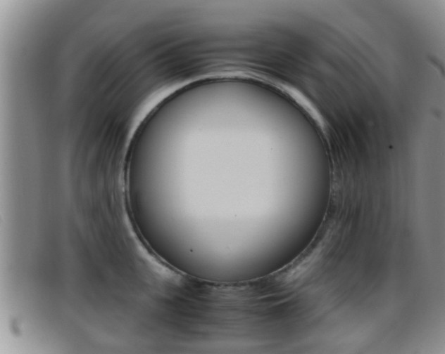 X0000096730951200802051126