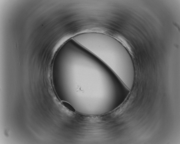 X0000096730952200802051126