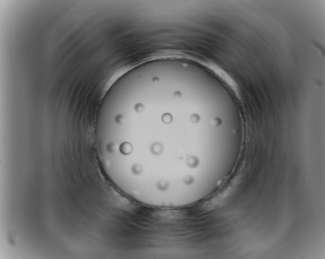 X0000096730953200802051126
