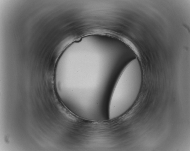 X0000096730954200802051126