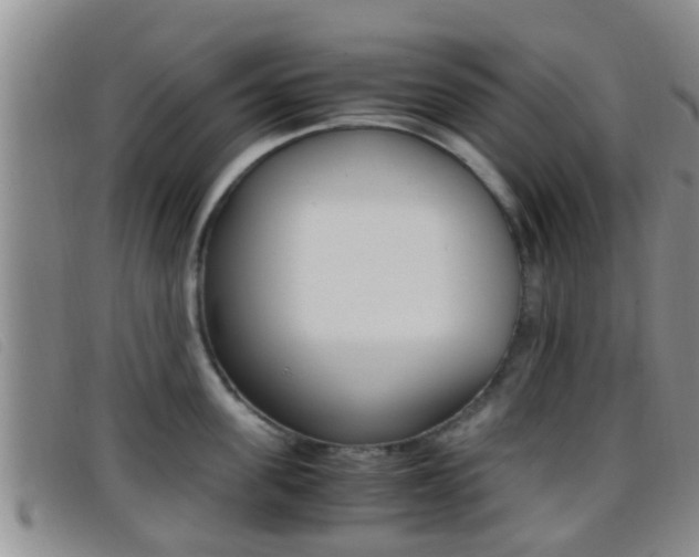 X0000096730955200802051126