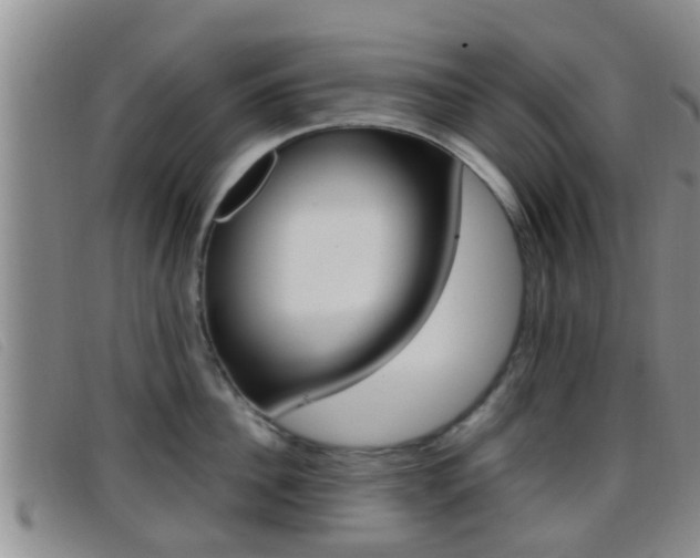 X0000096730956200802051126