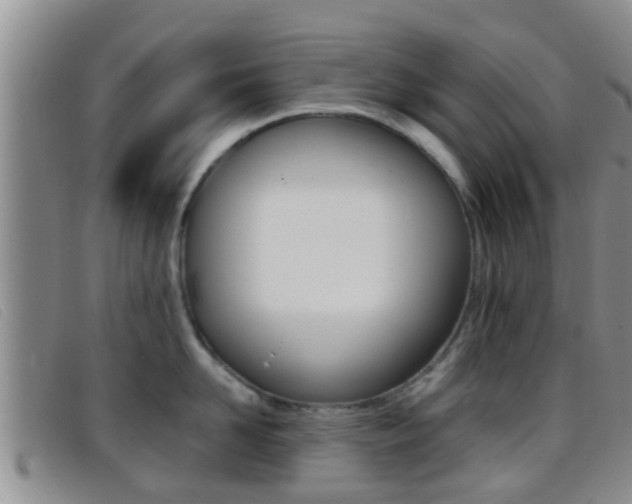 X0000096730958200802051126