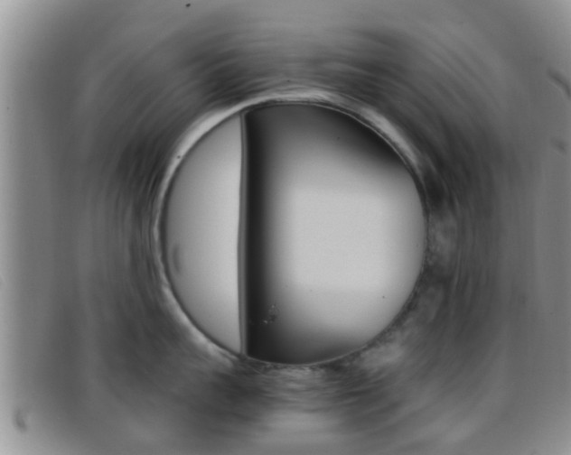 X0000096730959200802051126