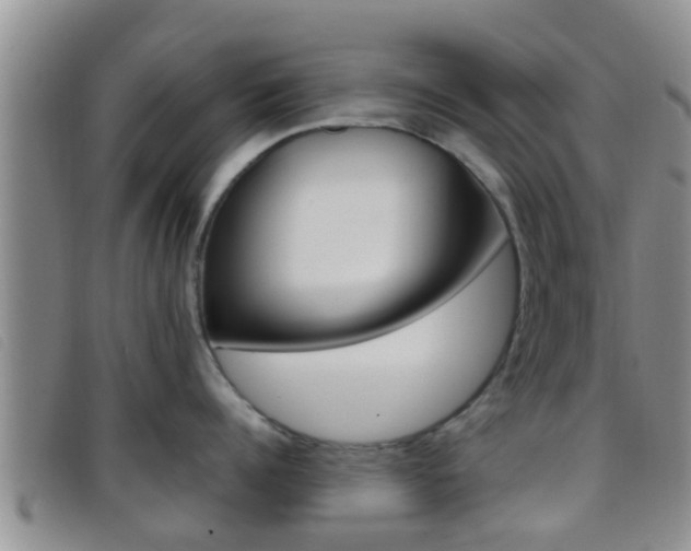 X0000096730960200802051126