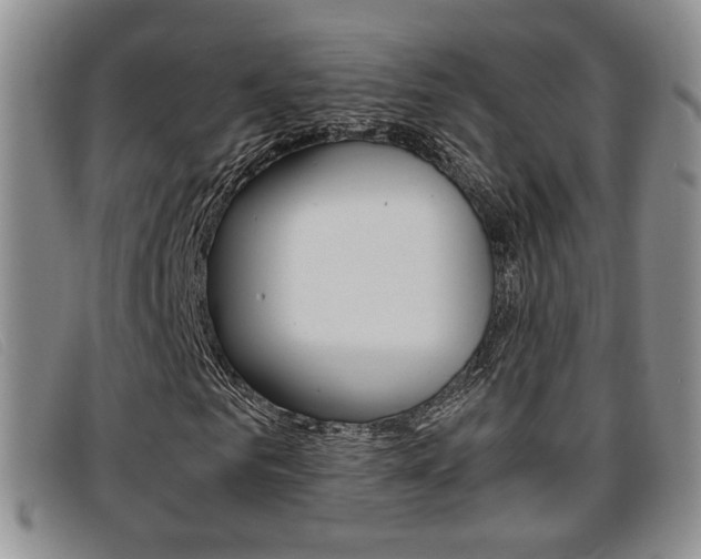 X0000096730961200802051125