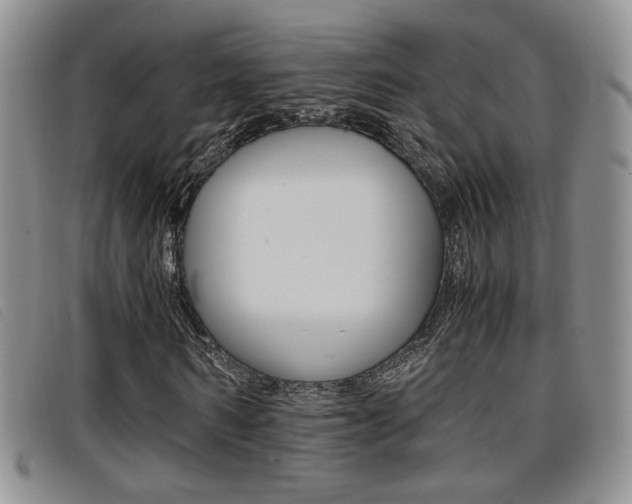 X0000096730962200802051125