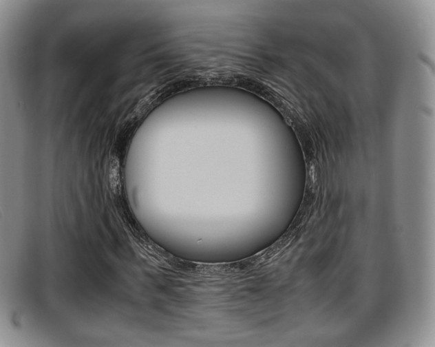X0000096730963200802051125