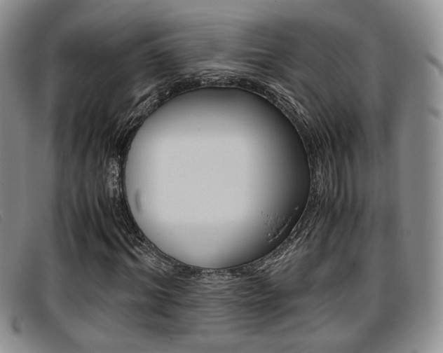 X0000096730964200802051125
