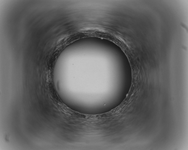 X0000096730965200802051125