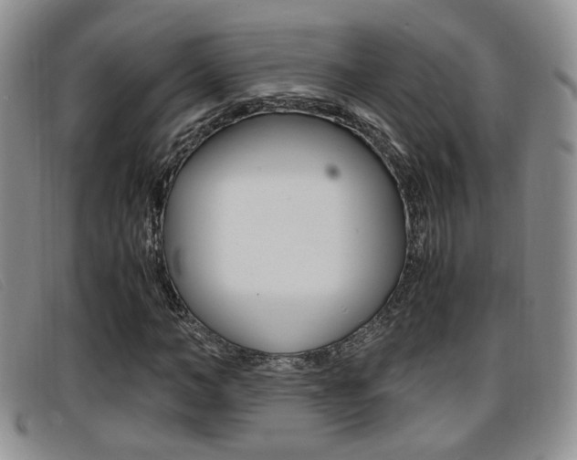 X0000096730966200802051125