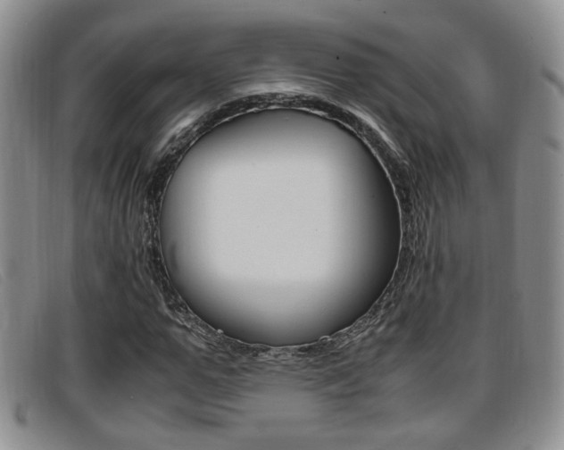 X0000096730967200802051125