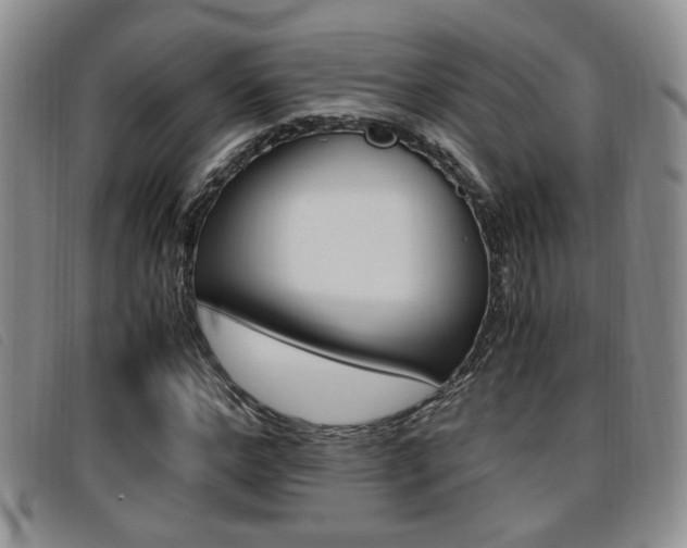 X0000096730968200802051125