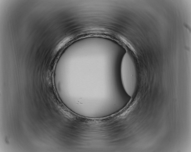 X0000096730970200802051125