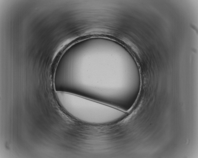 X0000096730973200802051125