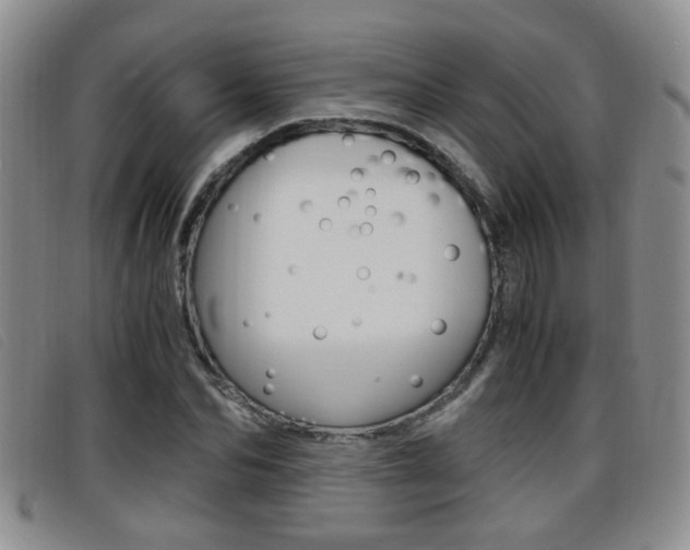 X0000096730974200802051125