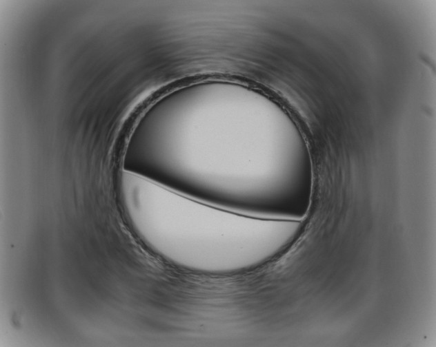 X0000096730975200802051125