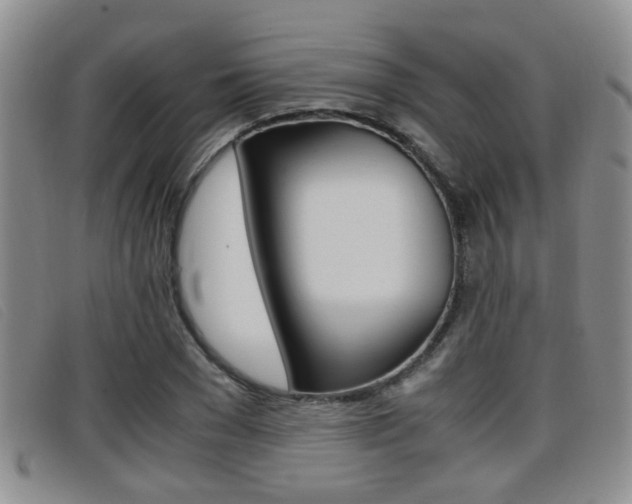 X0000096730977200802051125