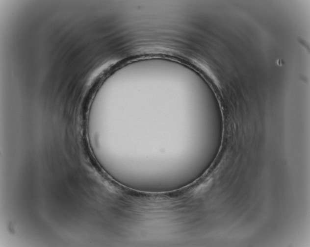 X0000096730979200802051125