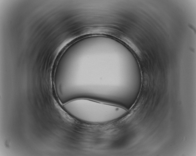X0000096730980200802051125