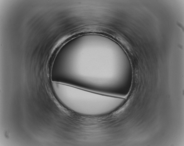 X0000096730981200802051125