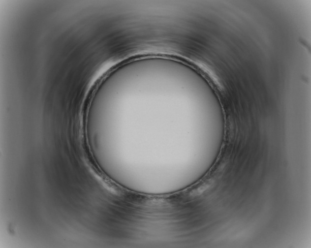 X0000096730982200802051125