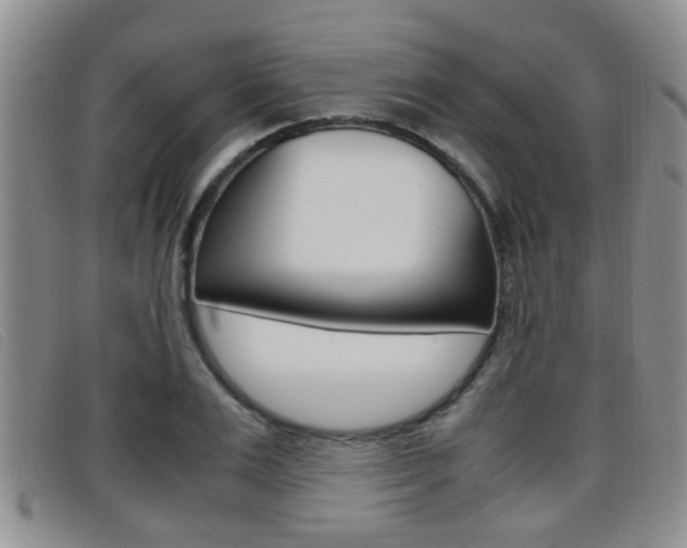 X0000096730983200802051125