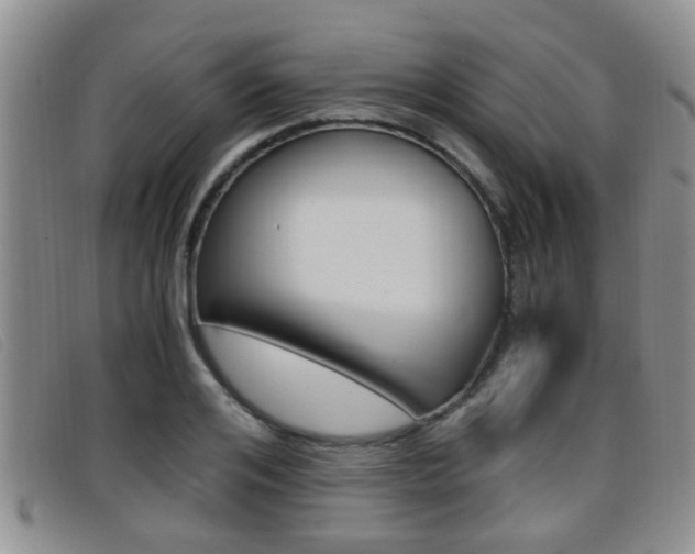 X0000096730984200802051125