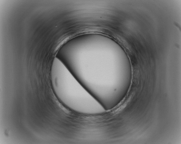 X0000096730985200802051125