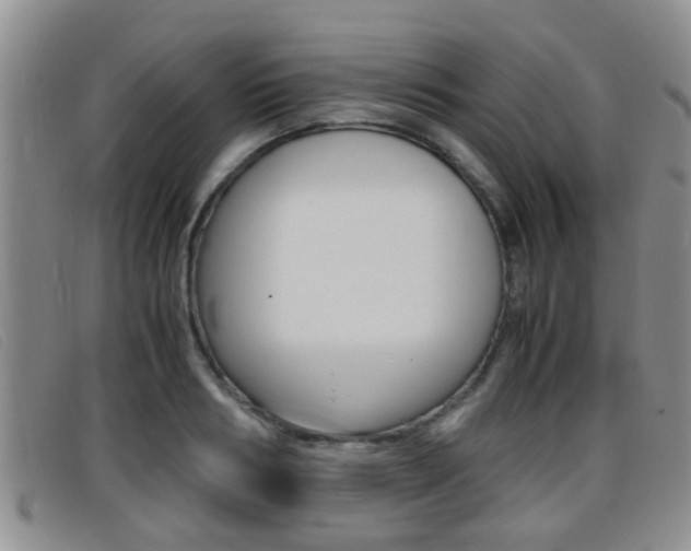 X0000096730986200802051125