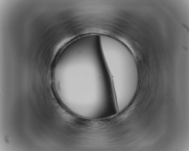 X0000096730987200802051125