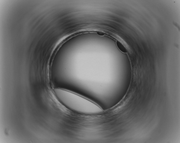 X0000096730988200802051125