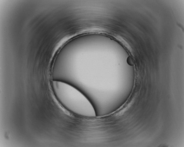 X0000096730989200802051125