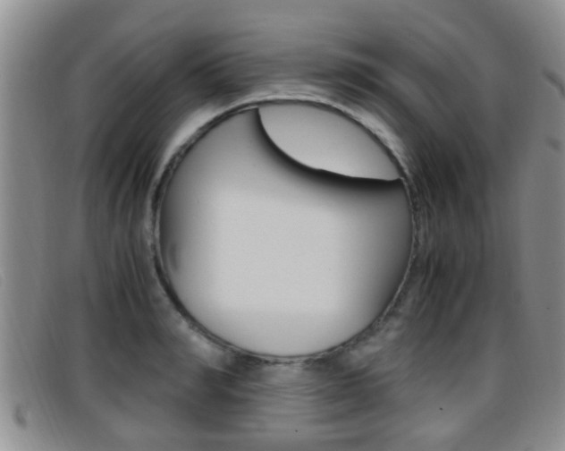 X0000096730990200802051124