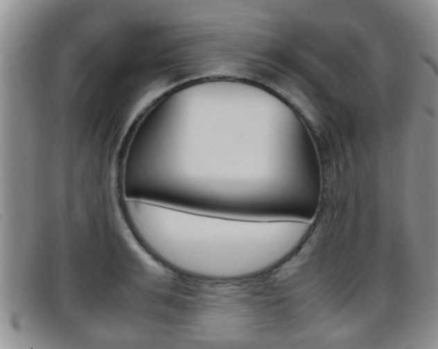 X0000096730991200802051124