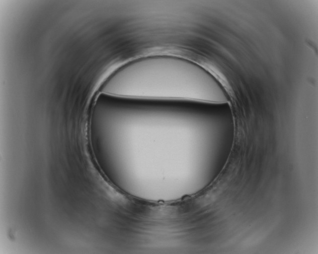X0000096730992200802051124