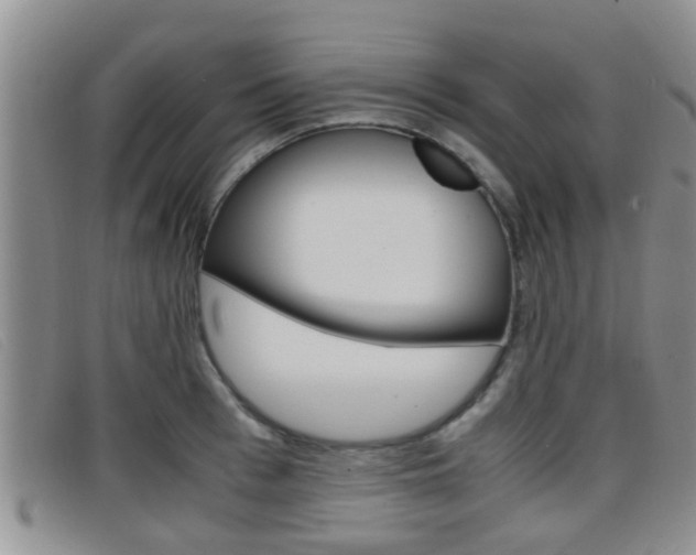 X0000096730993200802051124