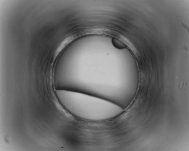 X0000096730994200802051124