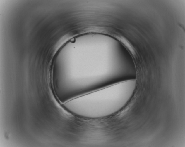X0000096730999200802051124