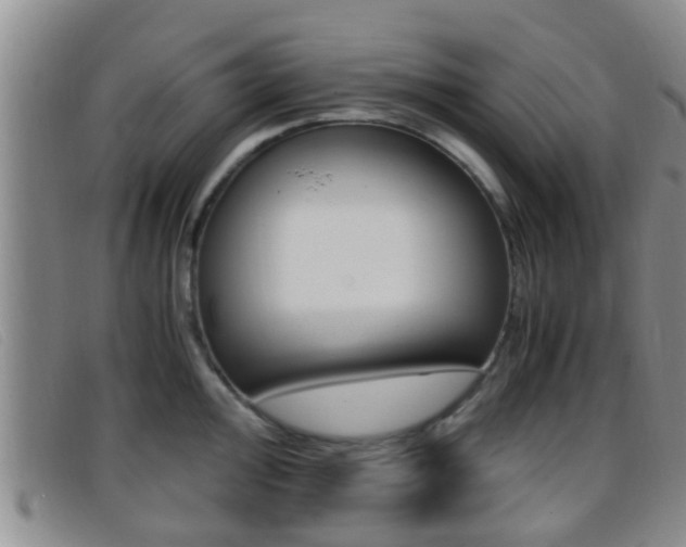 X0000096731000200802051124