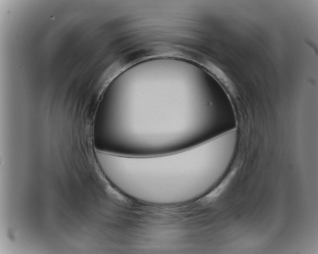 X0000096731001200802051124