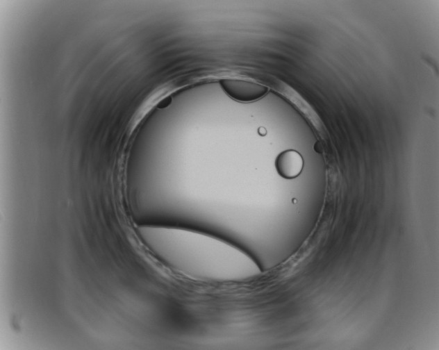 X0000096731002200802051124