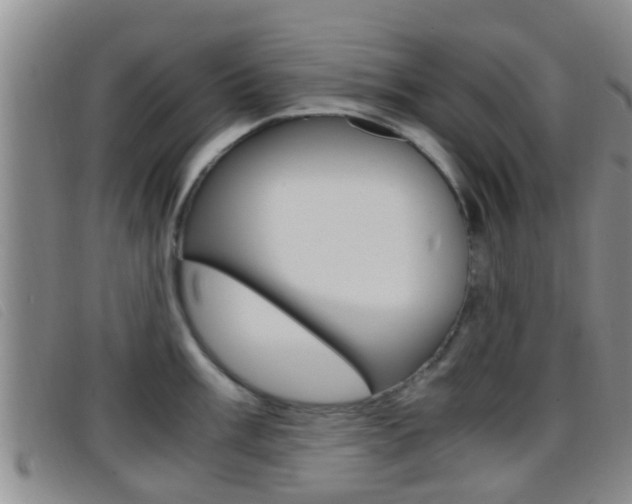 X0000096731003200802051124