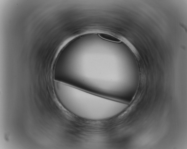 X0000096731004200802051124