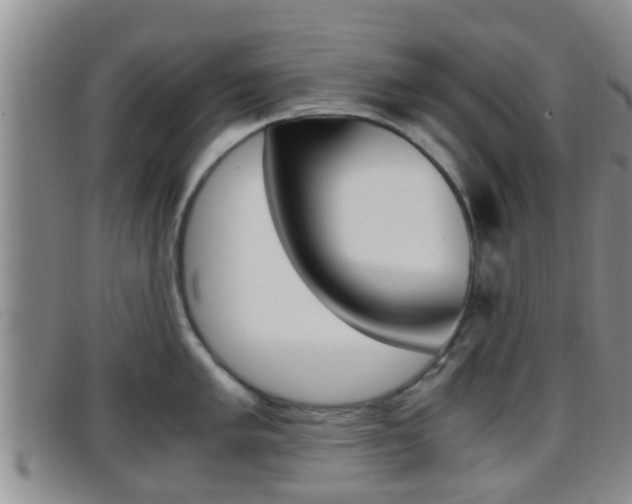 X0000096731005200802051124